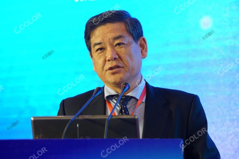 李柏青 时任三亚市副市长  2016中国（国际）休闲论坛