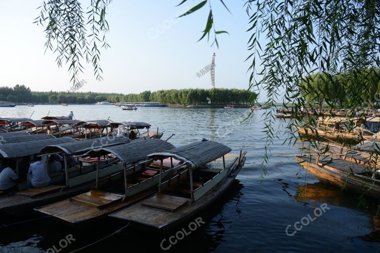 京津冀一体化，白洋淀的水生态保护和旅游休闲产业