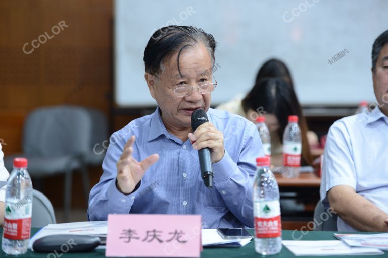 李庆龙 时任中国粮食协会小麦分会副理事长 2018年8月小麦糊粉层战略意义研讨会