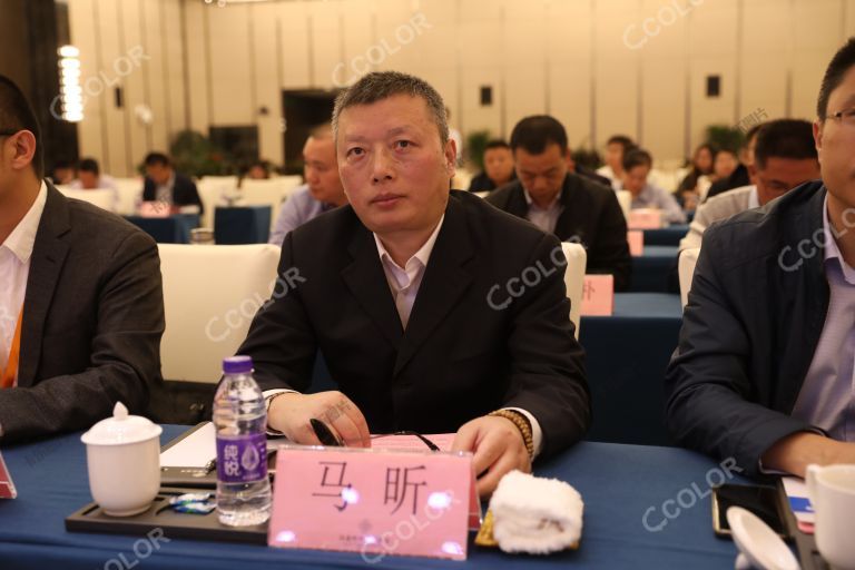人物类：马昕（长沙国旅董事长）2019中国（长荡湖）休闲湖泊峰会