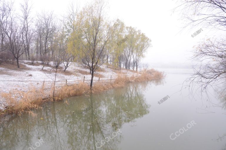 风光类：2020年北京初雪,奥林匹克森林公园（奥森公园）雪后的湿地