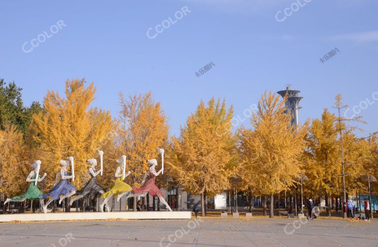 风光类：奥体公园的秋色