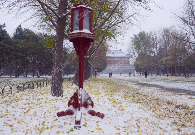 旅游类：雪中的天坛公园，2021年北京初雪