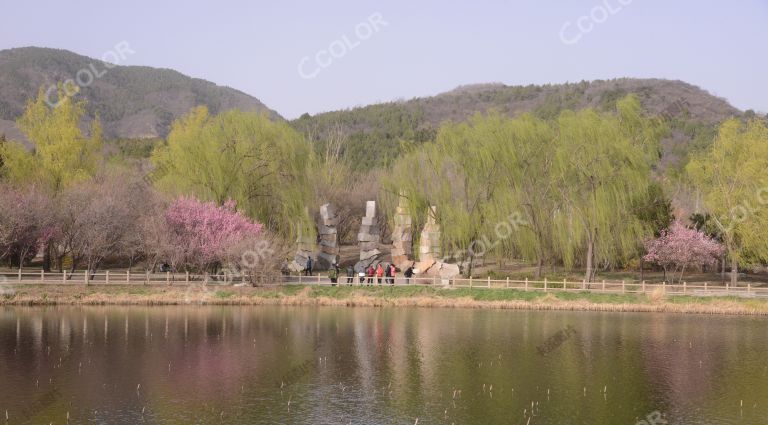 风光类：春分到清明期间的北京植物园，澄湖春色