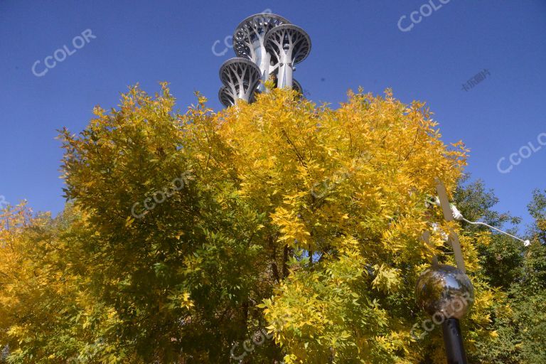 奥体公园秋季风光，奥运景观雕塑飞雪