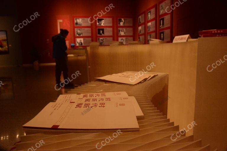 国家艺术资金资助项目10周年展，中国非遗馆