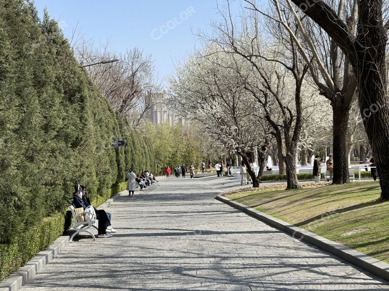 北京京顺园公园