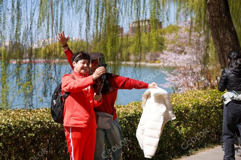 在玉渊潭公园拍照的游客