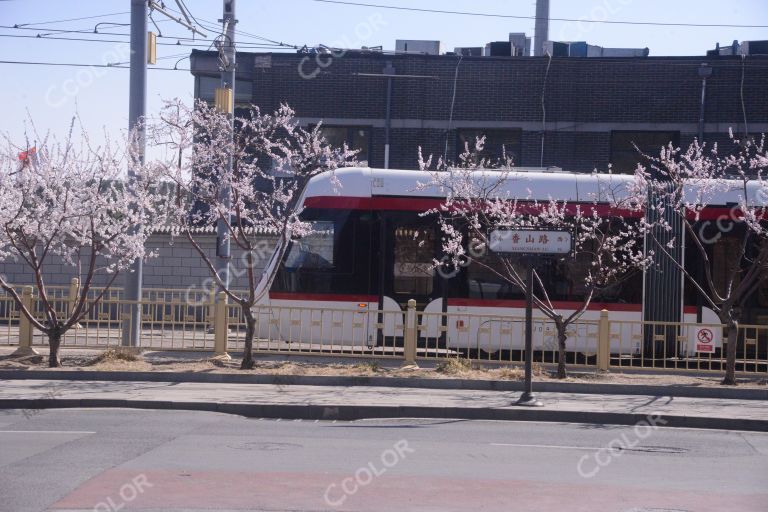 春游，开往春天的列车北京西郊线