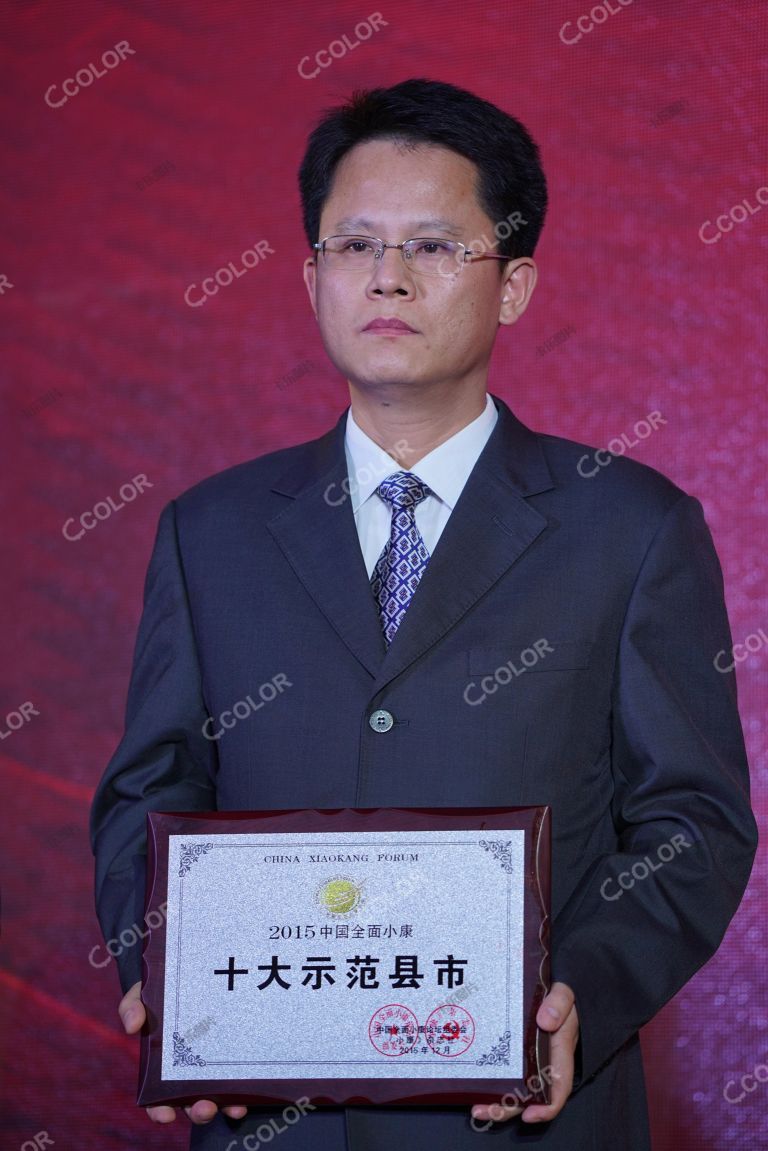 王勇 时任顺德区委副书记 2015中国全面小康论坛