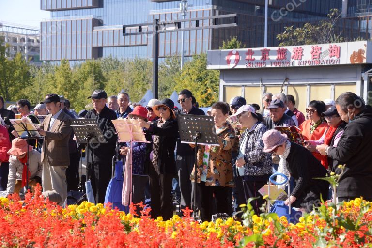 场景类：重阳节期间，奥林匹克公园的老年合唱团