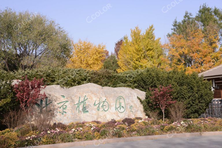 风光类：北京植物园的秋天
