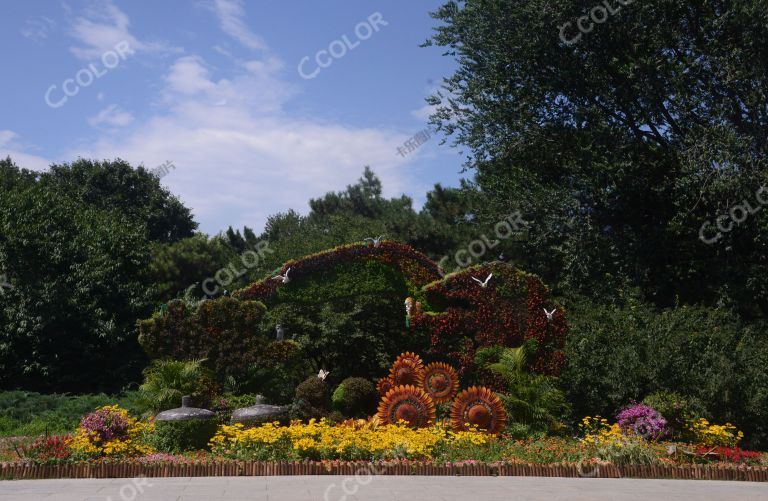 风光类：七月的北京，北京植物园建党百年“万物生趣”花坛
