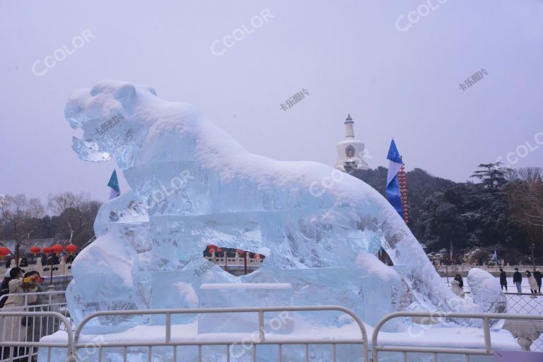北京2022年冬奥会，北海公园的虎冰雕
