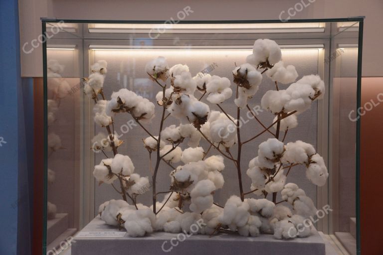 新疆棉花，“奋进新时代”主题成就展
